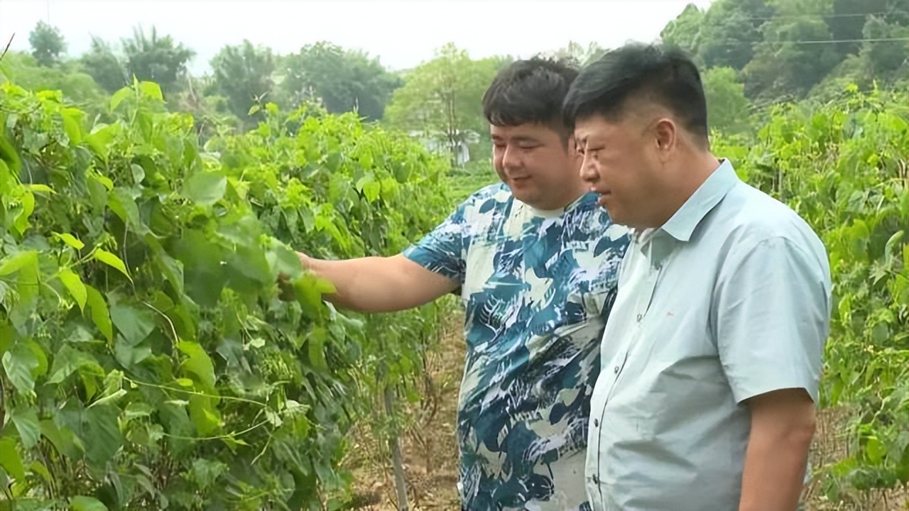 肇庆土特产农产品,肇庆最好的农业产业