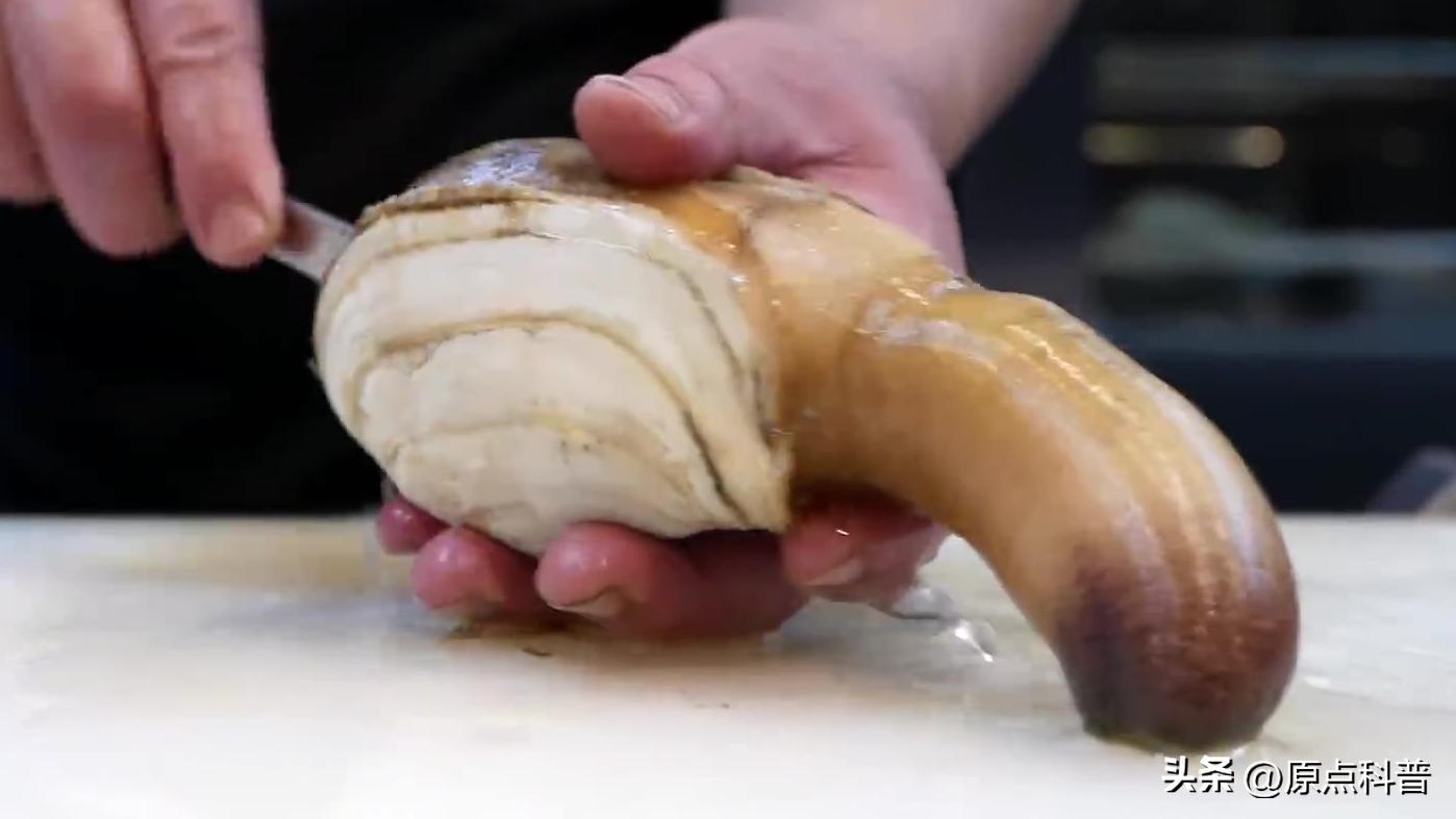 日本100种奇葩美食,日本八大奇葩美食