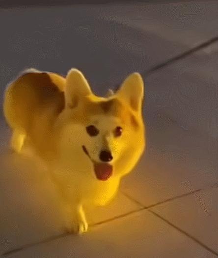 每日一笑,自己拆的家就是有安全感