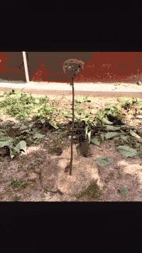 和女网友奔现靠谱吗,被女网友骗了钱怎么办