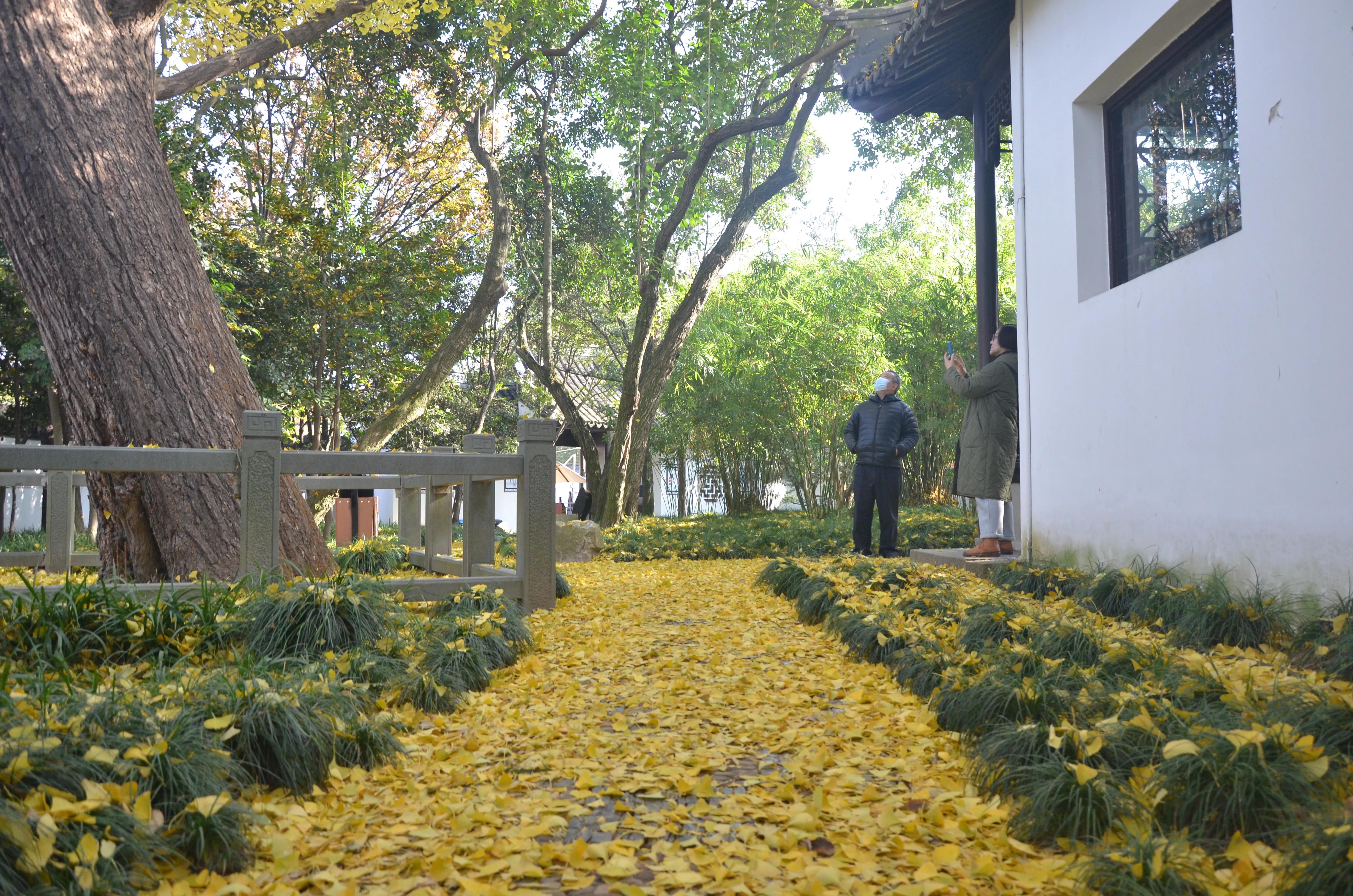 秋游醉白池旅游攻略,醉白池十大景点介绍