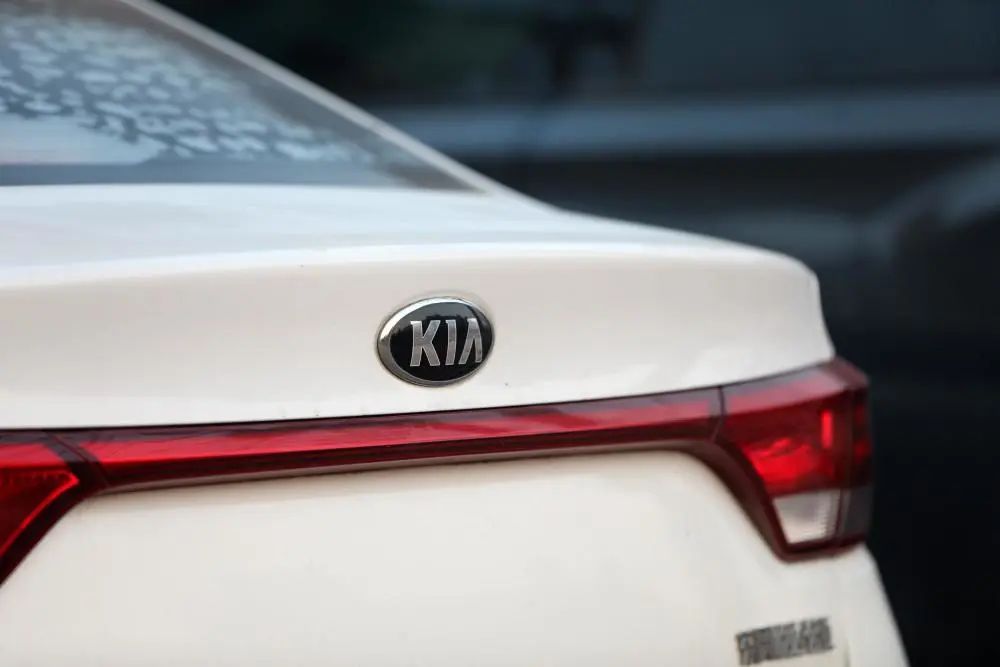 起亚汽车全年净利,悦达起亚估值