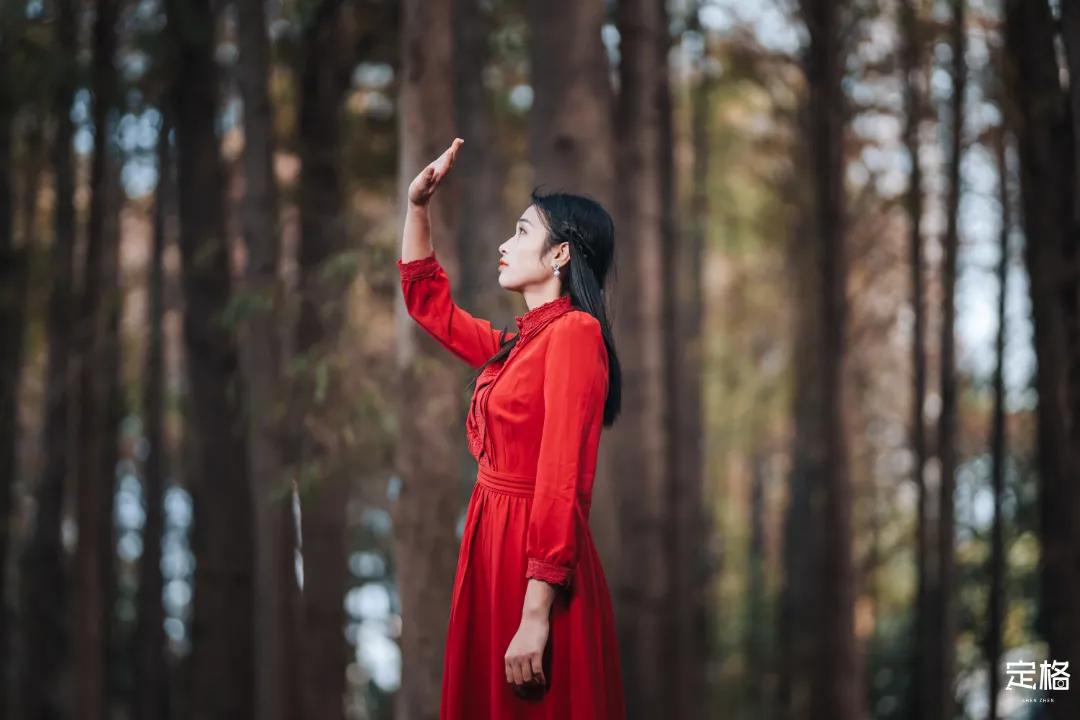 娲箹鍏洯娣卞湷,娲箹鍏洯鑽疯姳