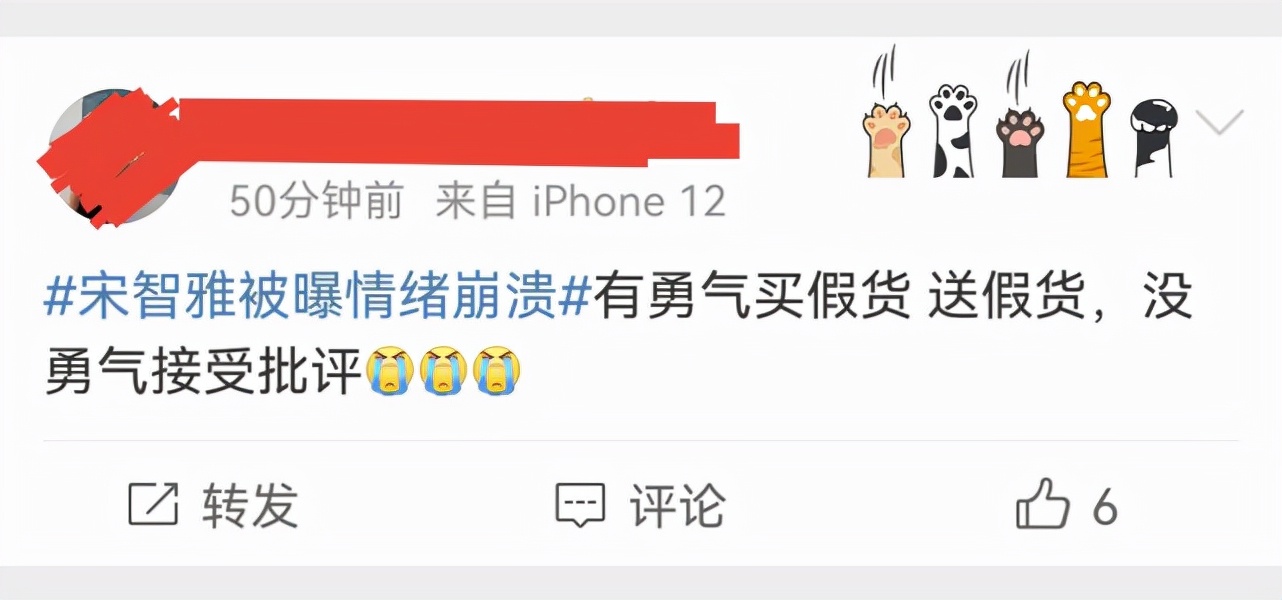 宋智雅综艺节目衣服 (宋智雅综艺穿衣)