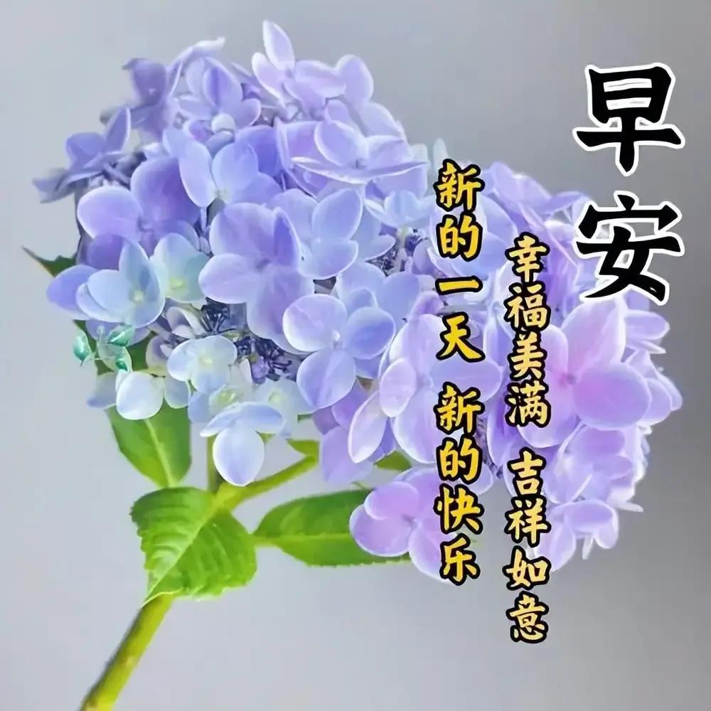 庚子日柱2023年癸卯年运势,癸卯年2023年哪个月出生最好