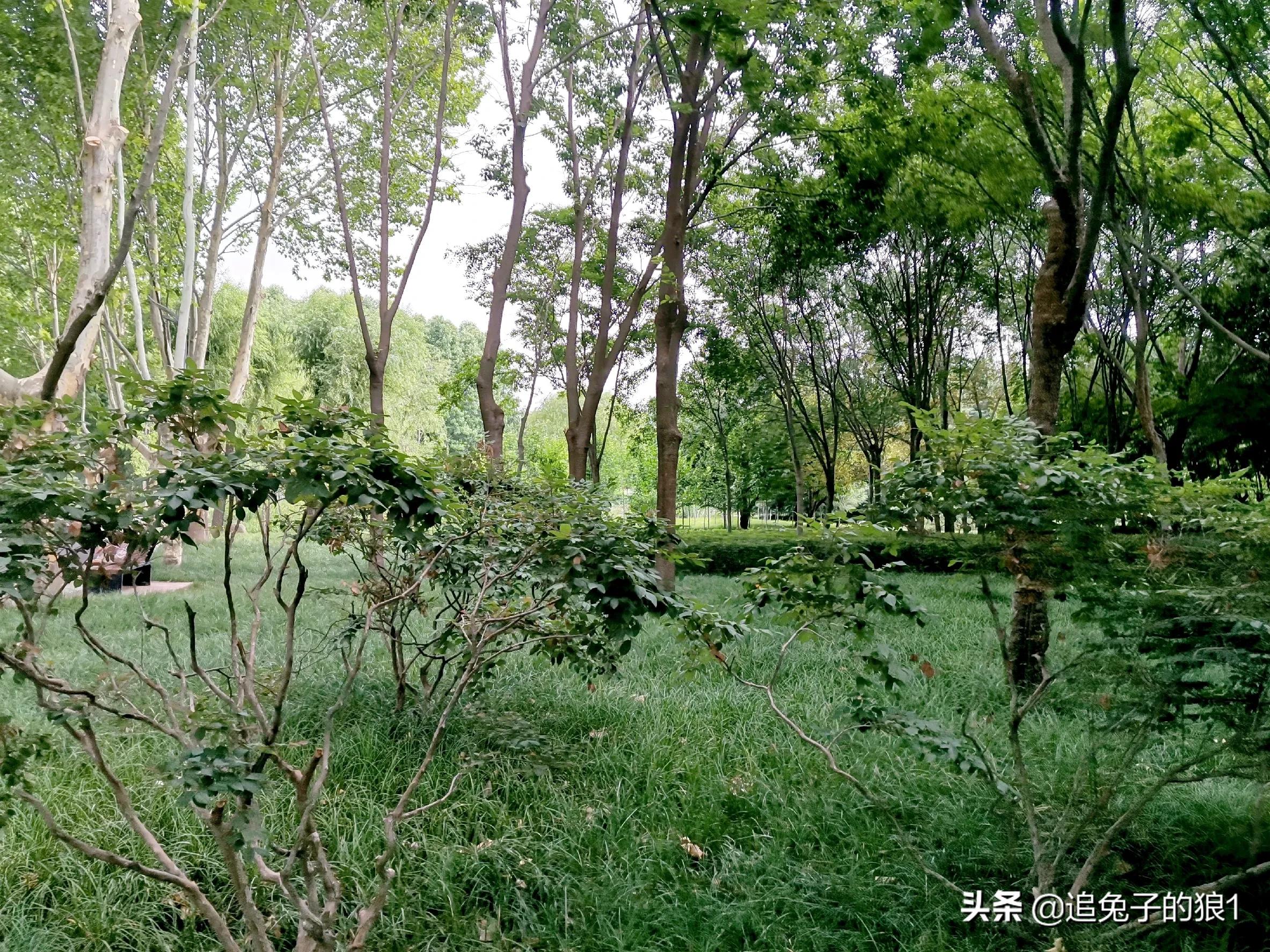 孔子曰己所不欲勿施于人什么意思,正如孔子说己所不欲勿施于人