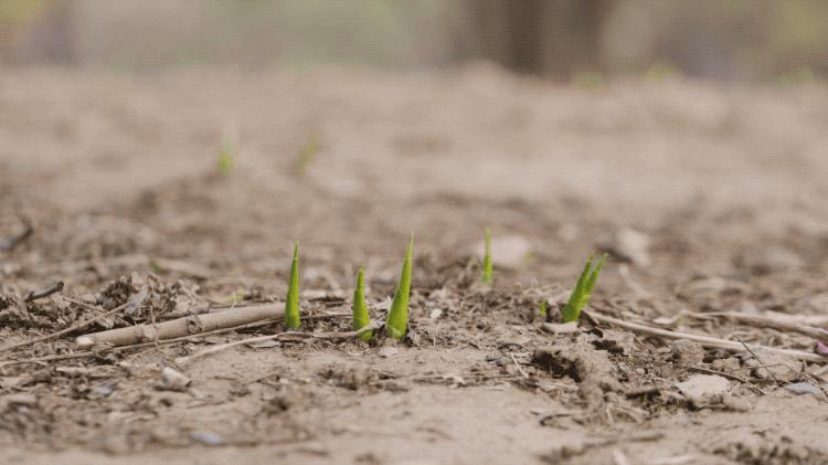 京东总裁患绝症,京东绝症高管
