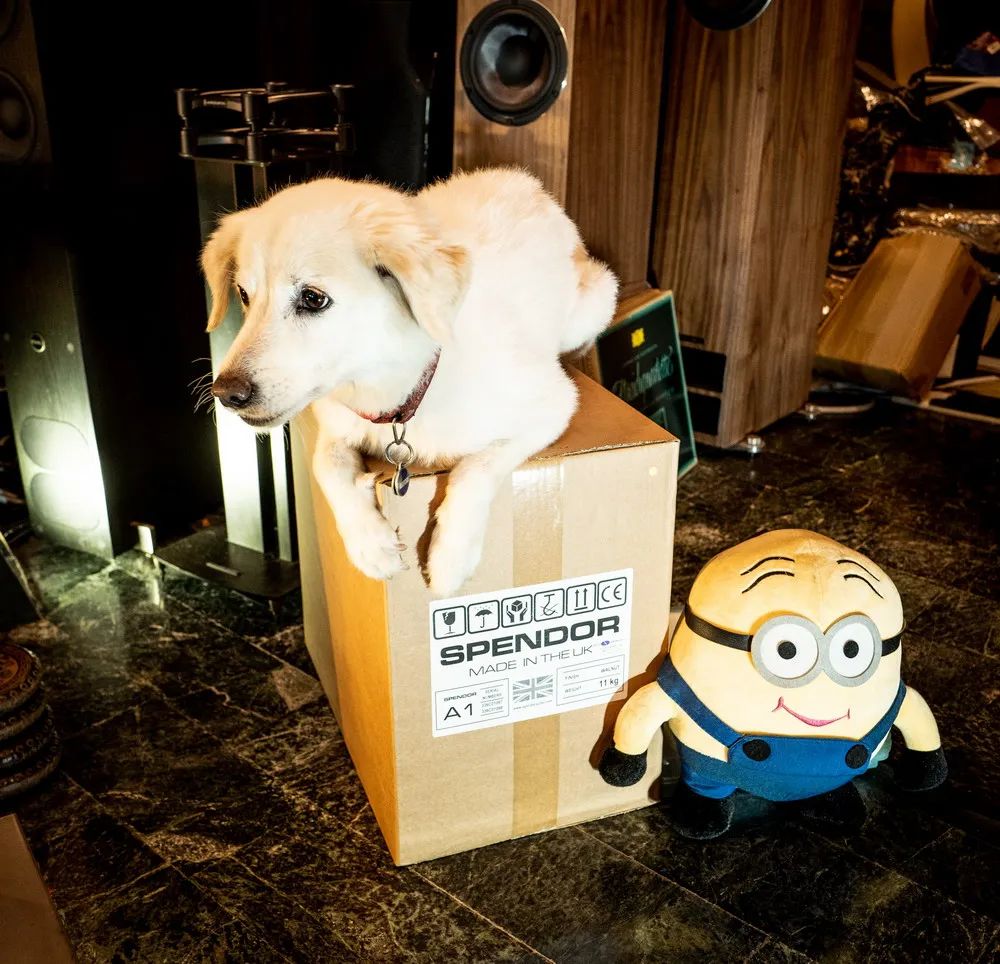 别以为只是入门而已，SPENDORA1老品牌的得意之作