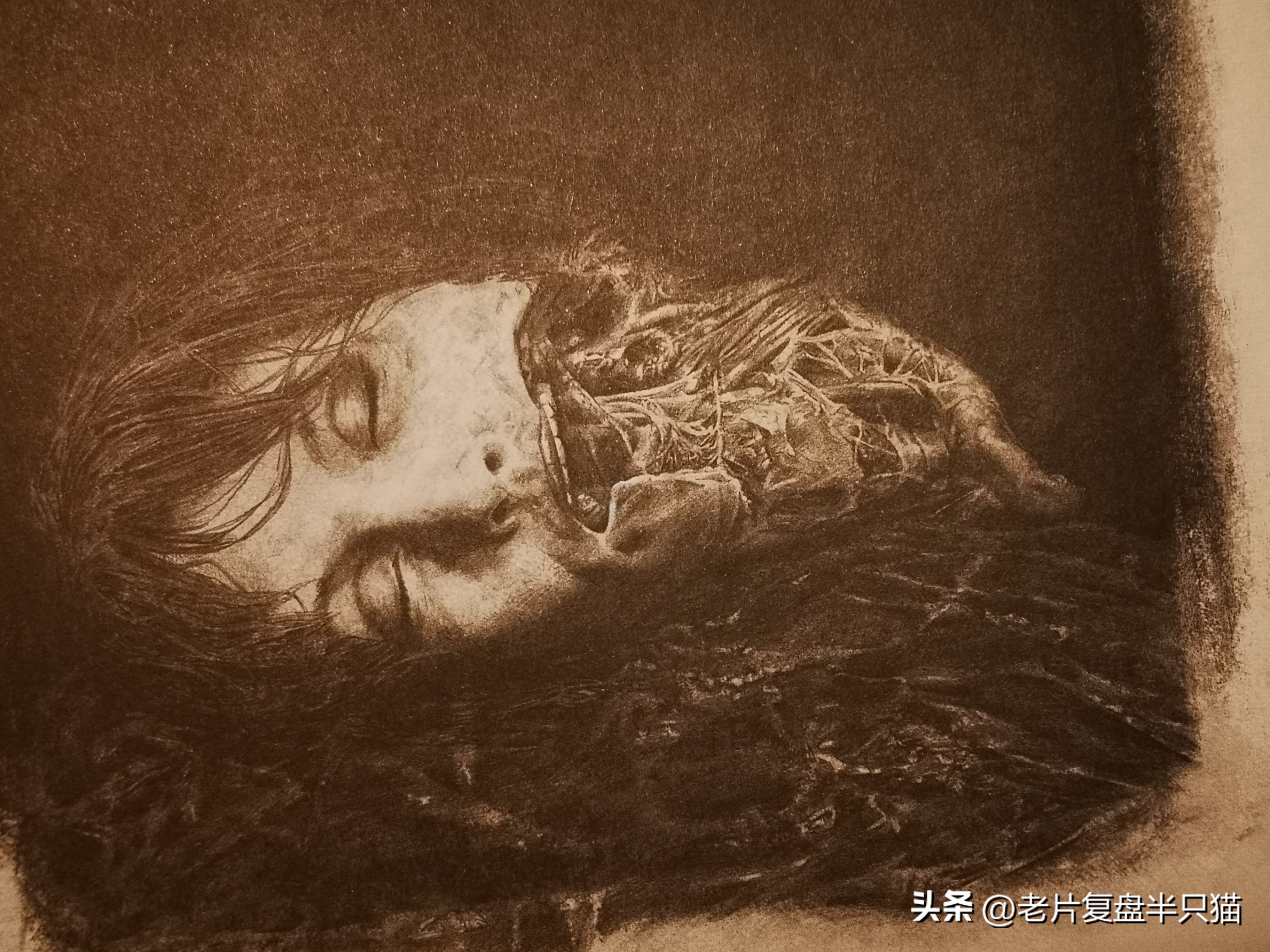 仿生人大卫的秘密,仿生机器人大卫