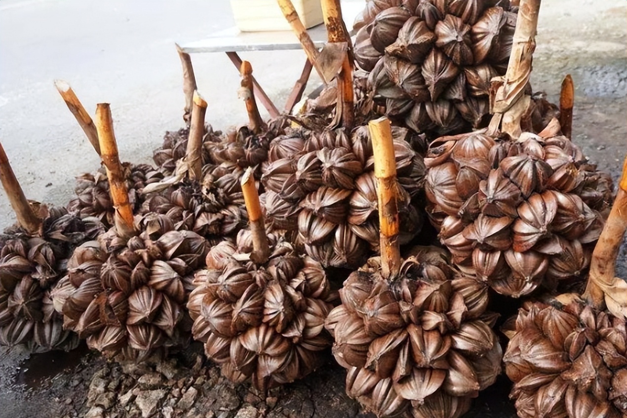 越南烂大街的食物,越南水果烂街视频