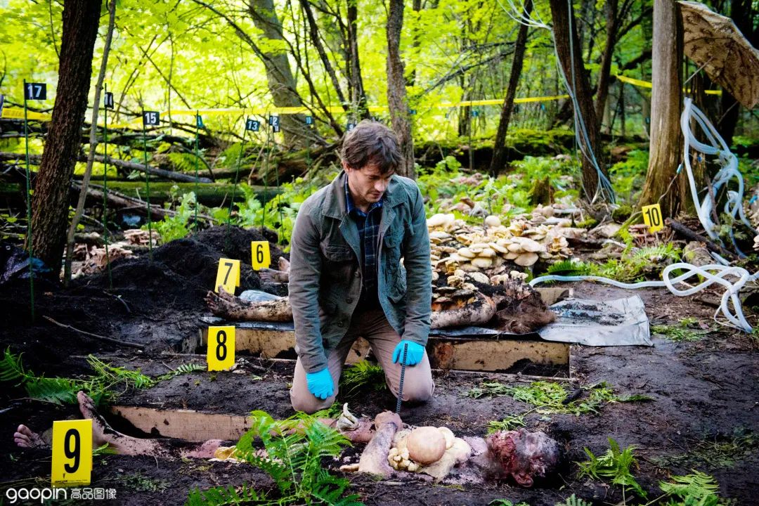 张译最新悬疑电视剧是什么,张译新剧热度最快破万刑侦剧