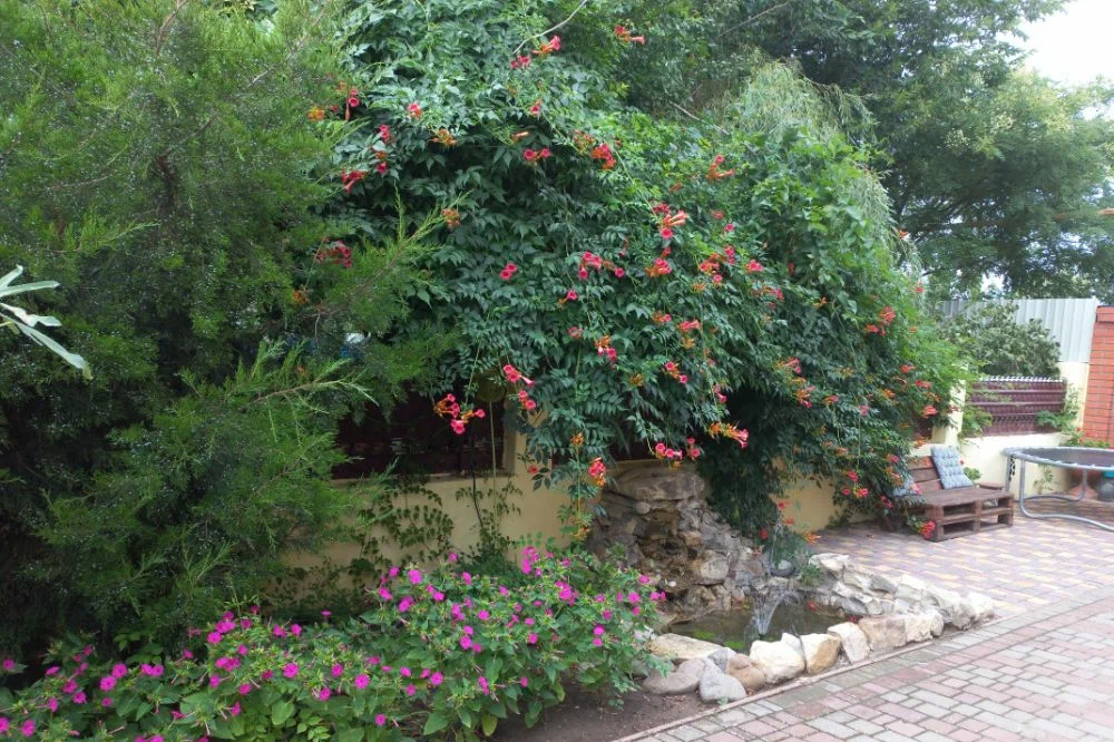 最舒服简单的农家小院,自建房三开间农家小院布局