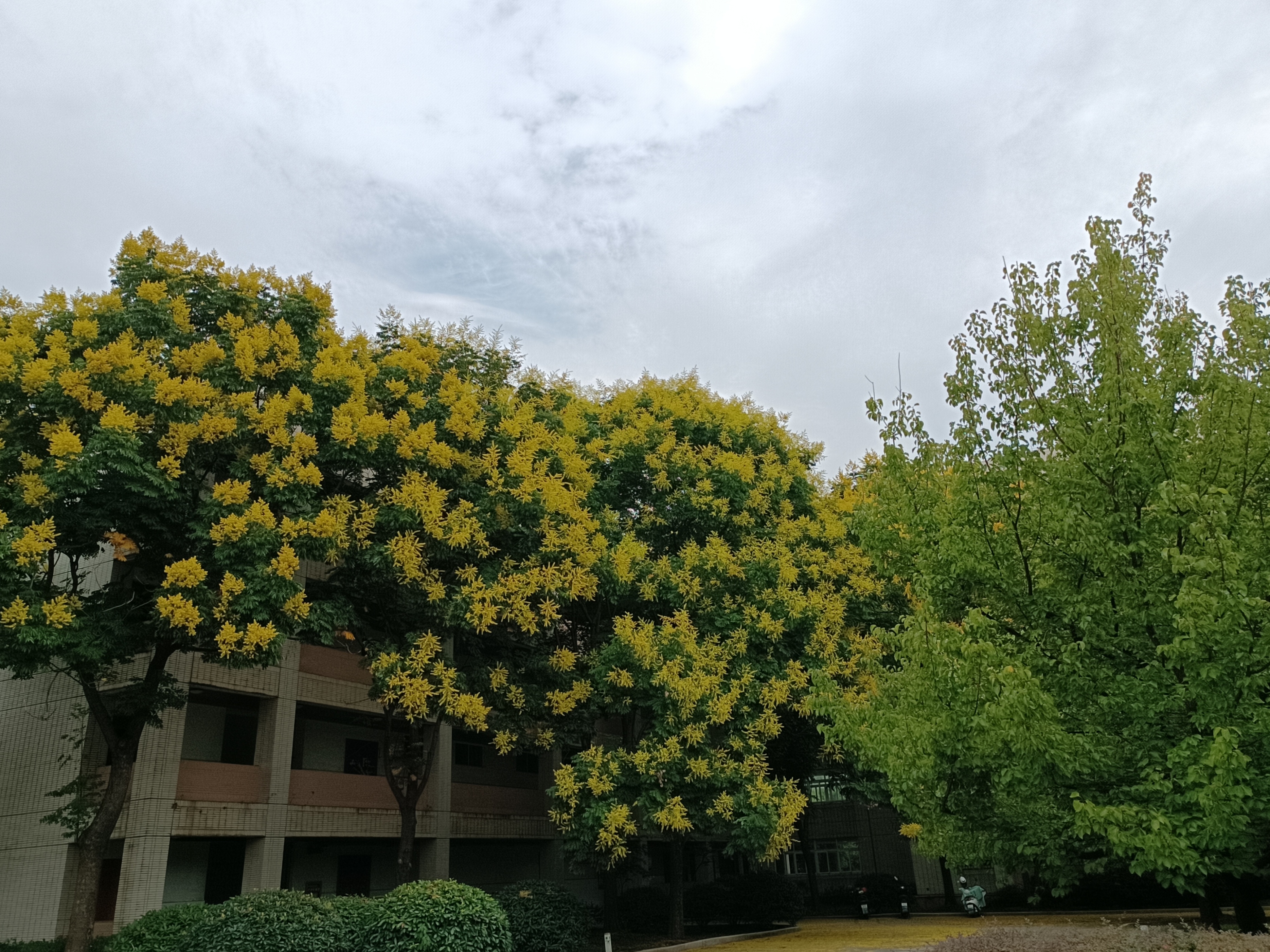 愿你一生平安,愿你一生平安原唱视频