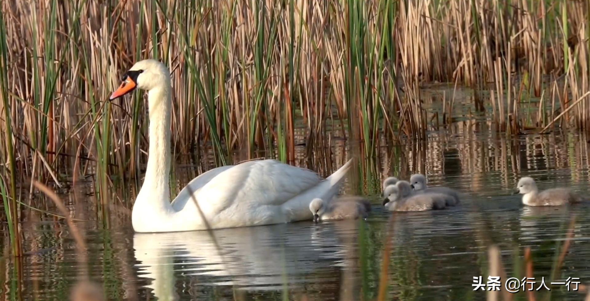 郑州周边夜晚露营地推荐,郑州露营旅游地点推荐