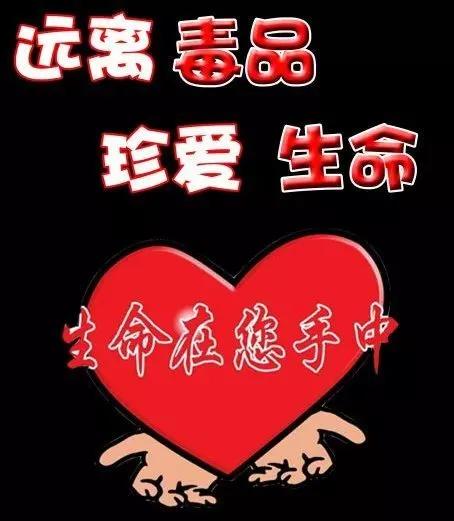 普及禁毒知识提升禁毒意识,禁毒宣传月禁毒防毒知识小课堂