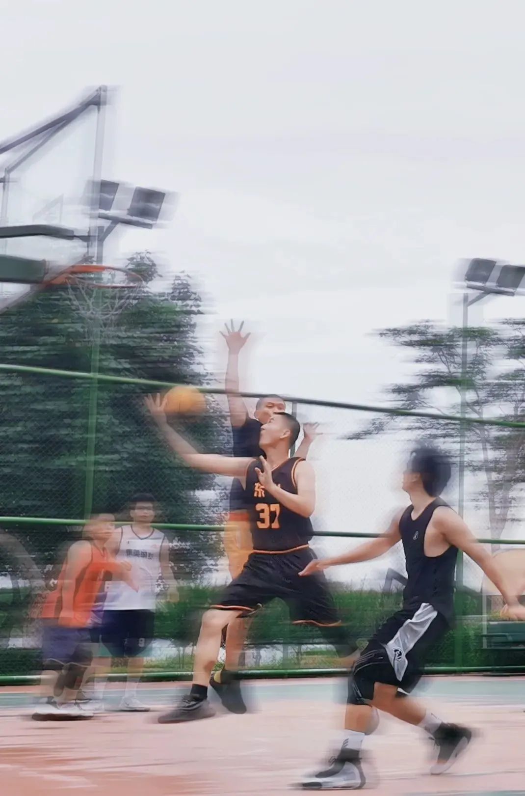 杏林湾游泳健身,杏林湾体育公园