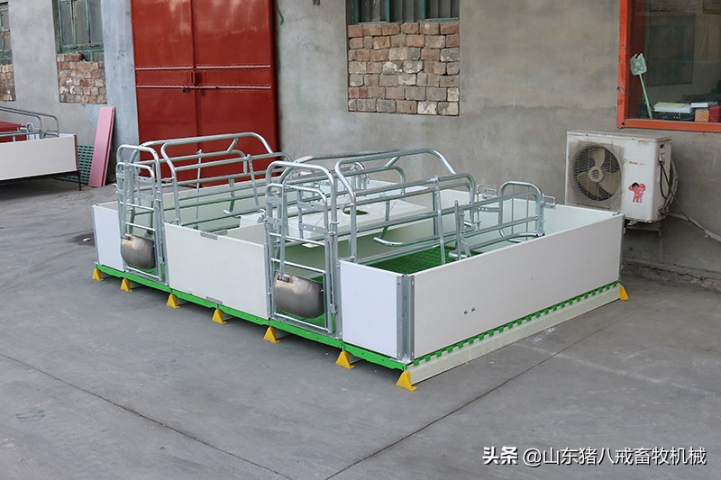 内蒙古欧式双体母猪产床,欧式产床的优势