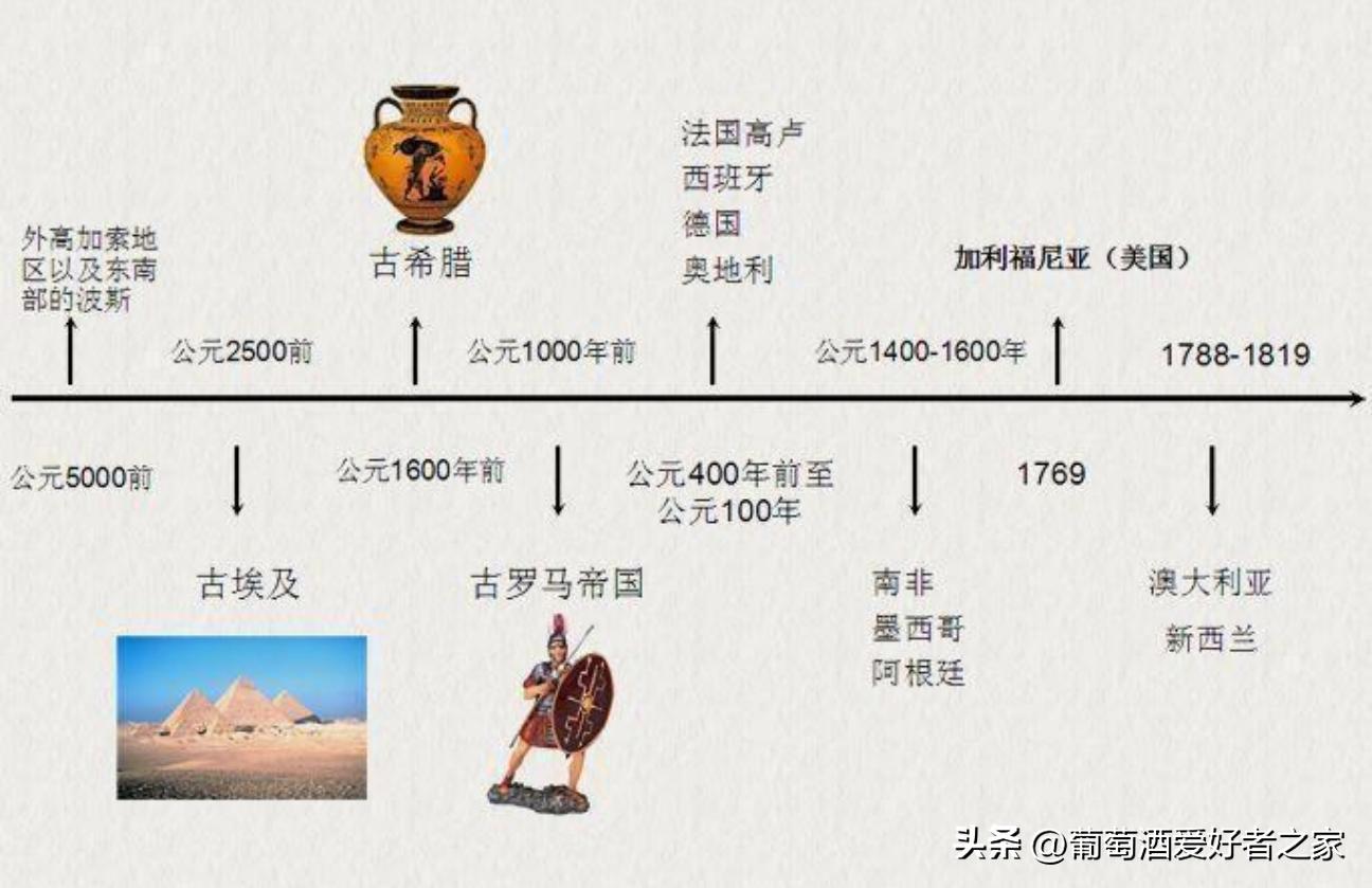 葡萄酒的品酒流程与方式是什么,葡萄酒入门之教你正确写品酒笔记