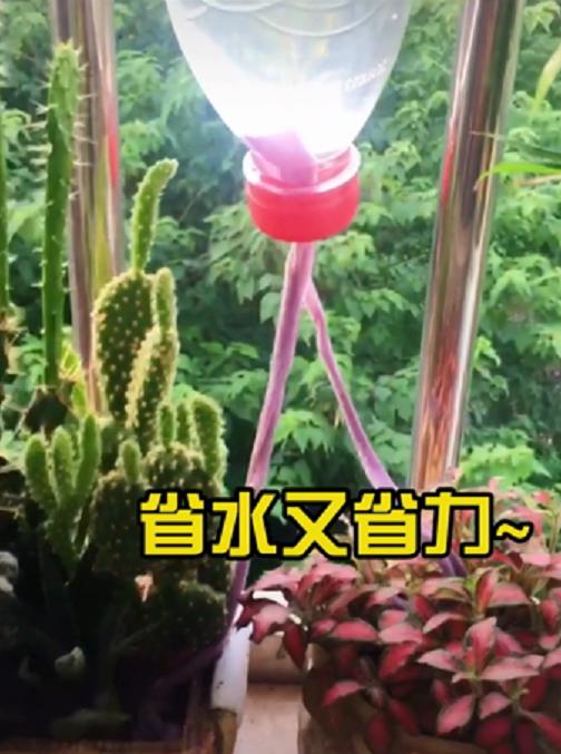 大学放假前自制装备给盆栽浇水,大学生放假前自制装备