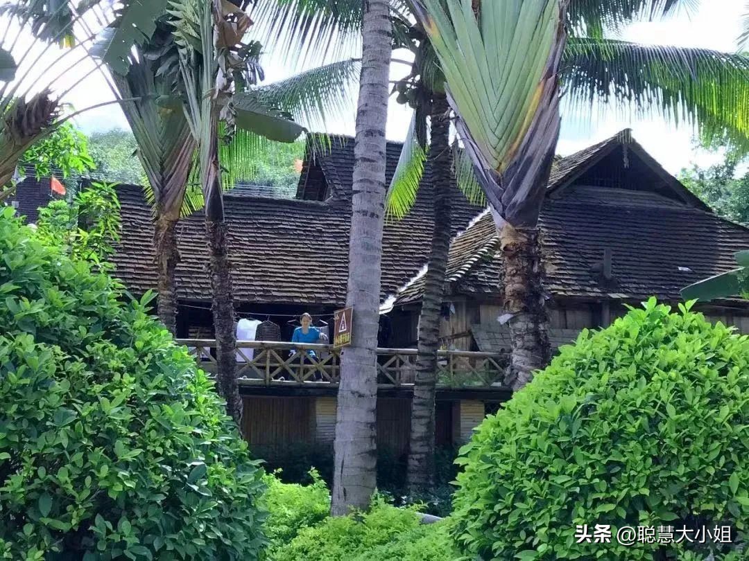 云南西双版纳美食攻略自助,西双版纳美食排行榜前十名