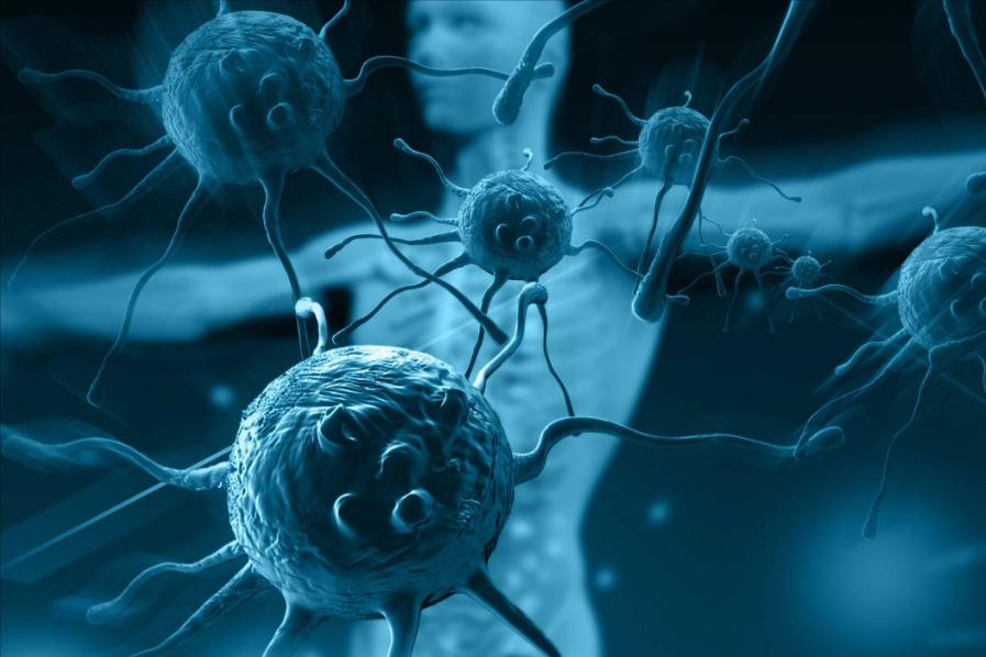 什么原因可导致身上毛发大量脱落,什么原因会导致毛发脱落