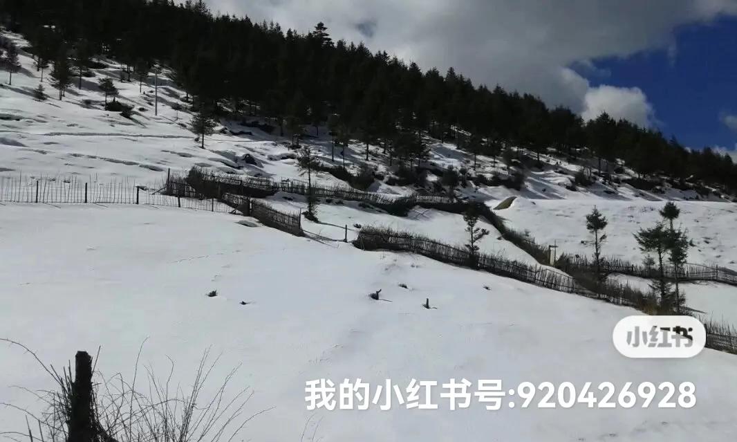 大话2彩云之南香格里拉,彩云之南云南游记