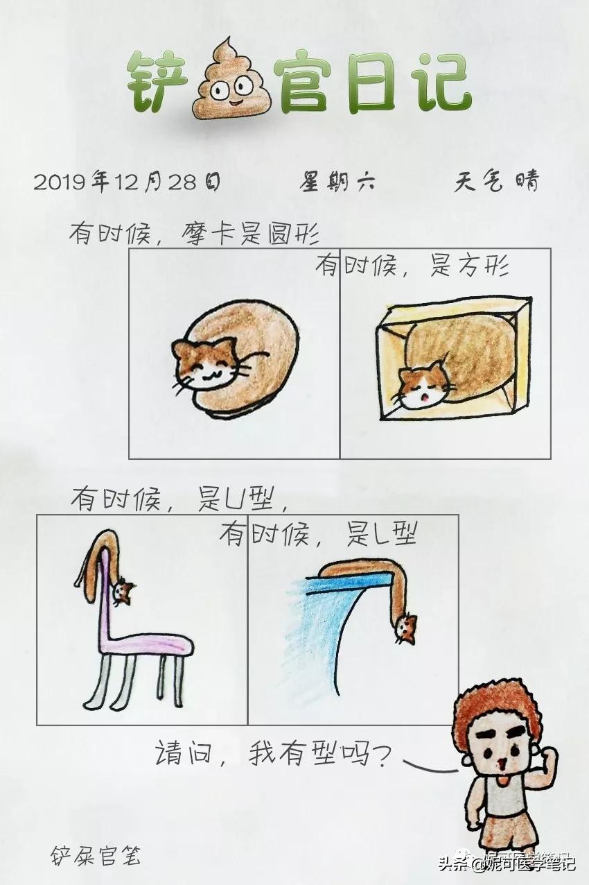 铲屎官漫画中国史全套,铲屎官的前后人生漫画