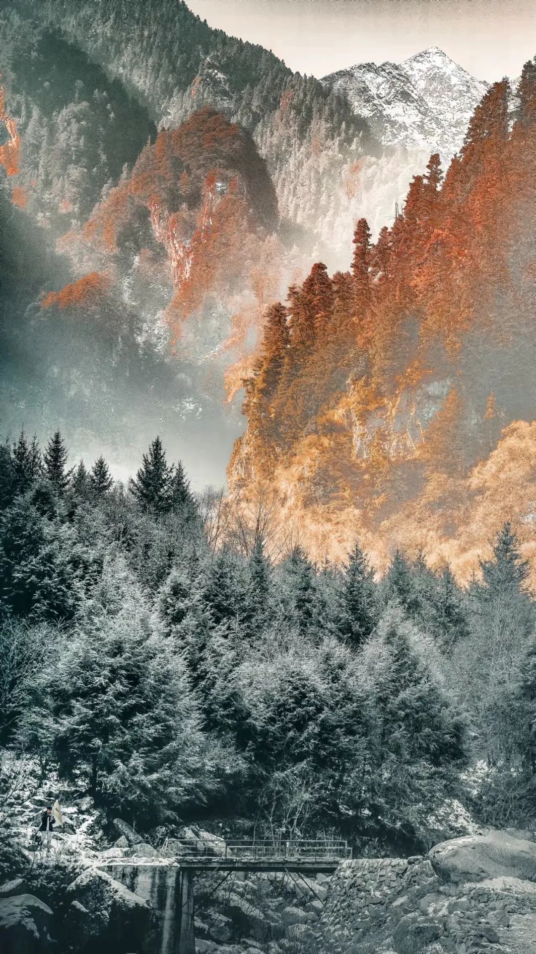 不到3000玩7天！“全网呼声最高”的冬日游天花板，非它莫属！