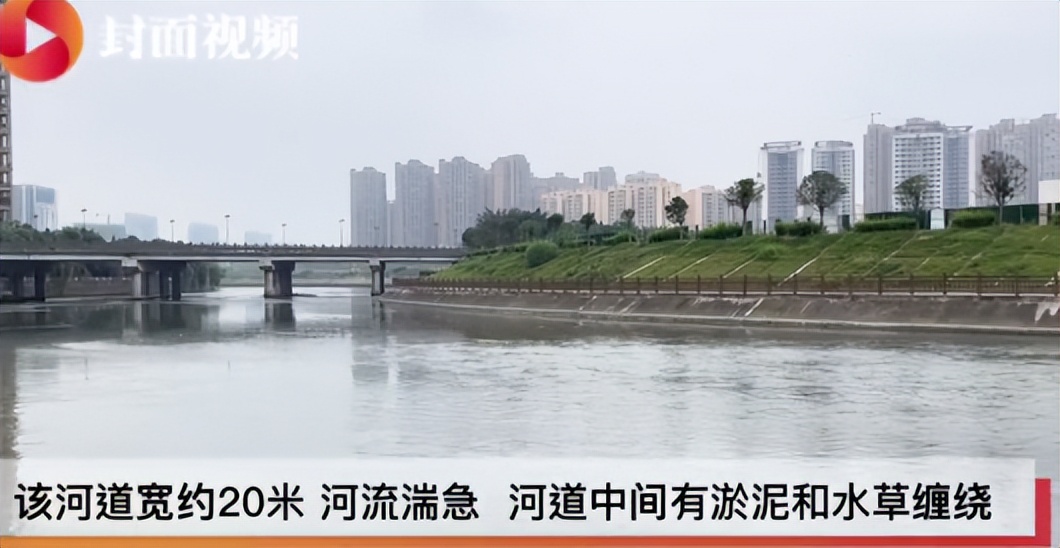 16岁少年被女下河救狗溺亡:狗一直是狗,人有时候却不是人