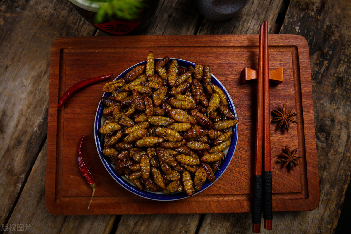 流浪地球吃蚯蚓现实吗,流浪地球2吃汤圆