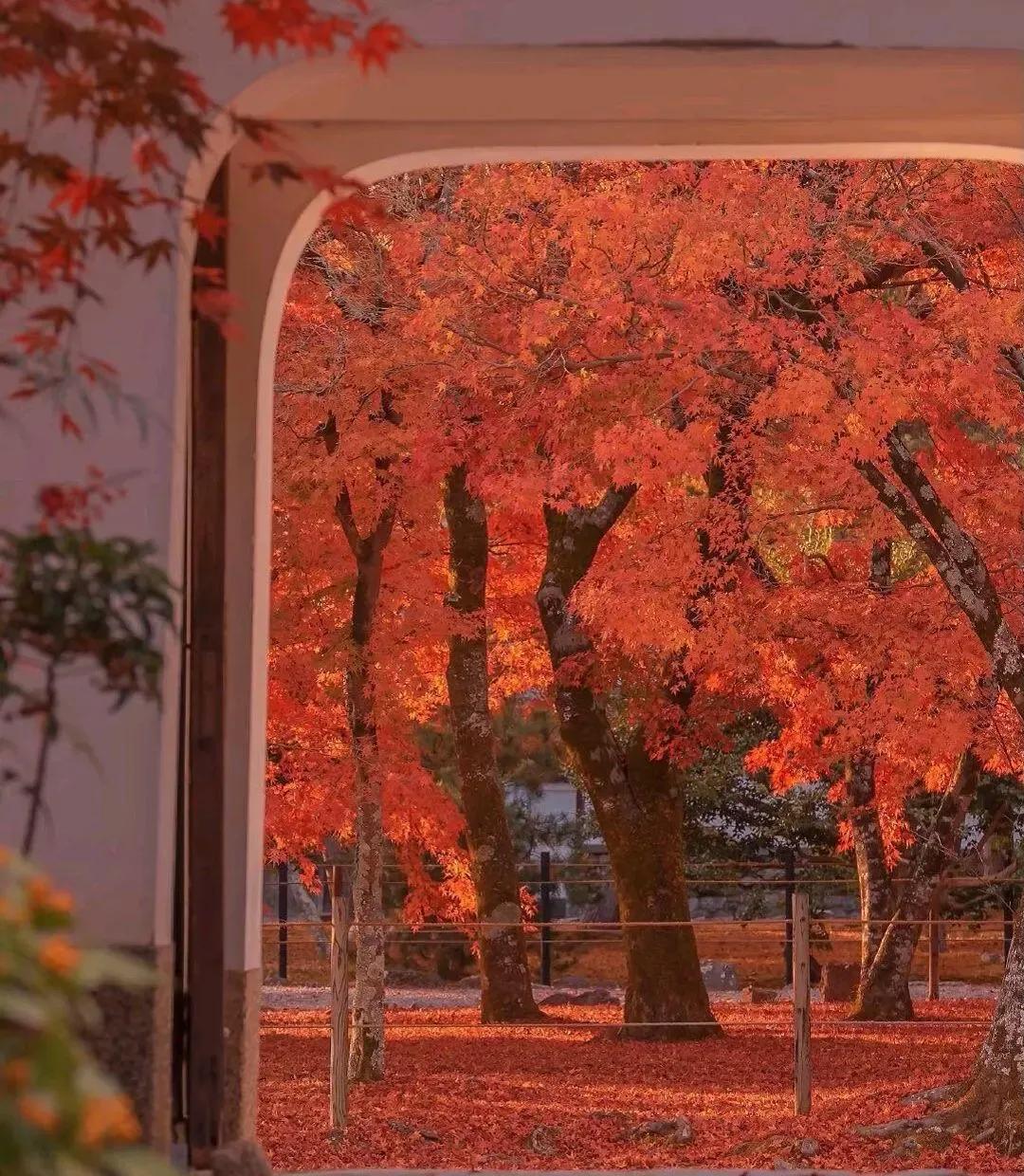 时光微步岁月静往,时光微步岁月静缓的意思