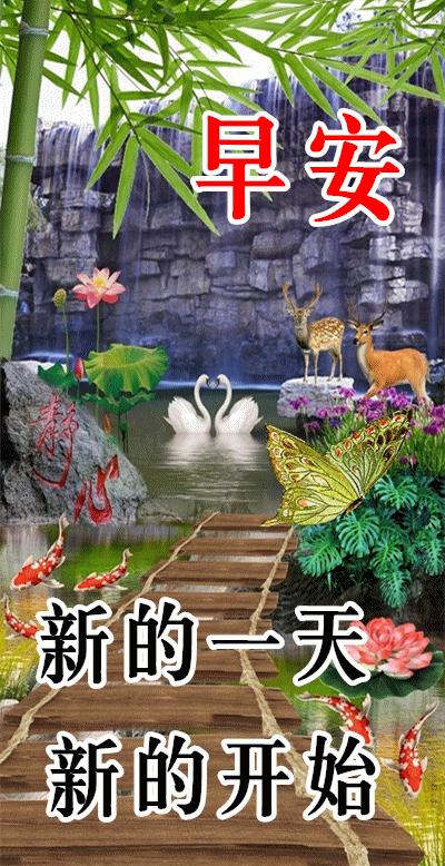 早上好最新问候语简短一句话图片,11月2日早上好问候图片