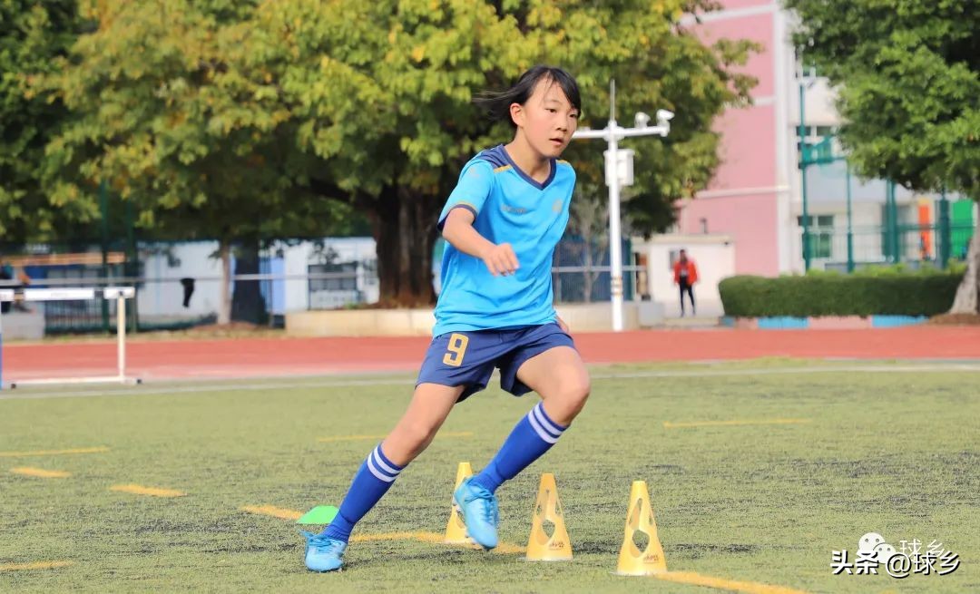 踔厉奋发新起航,踔厉奋发开新局奋楫笃行谱新篇