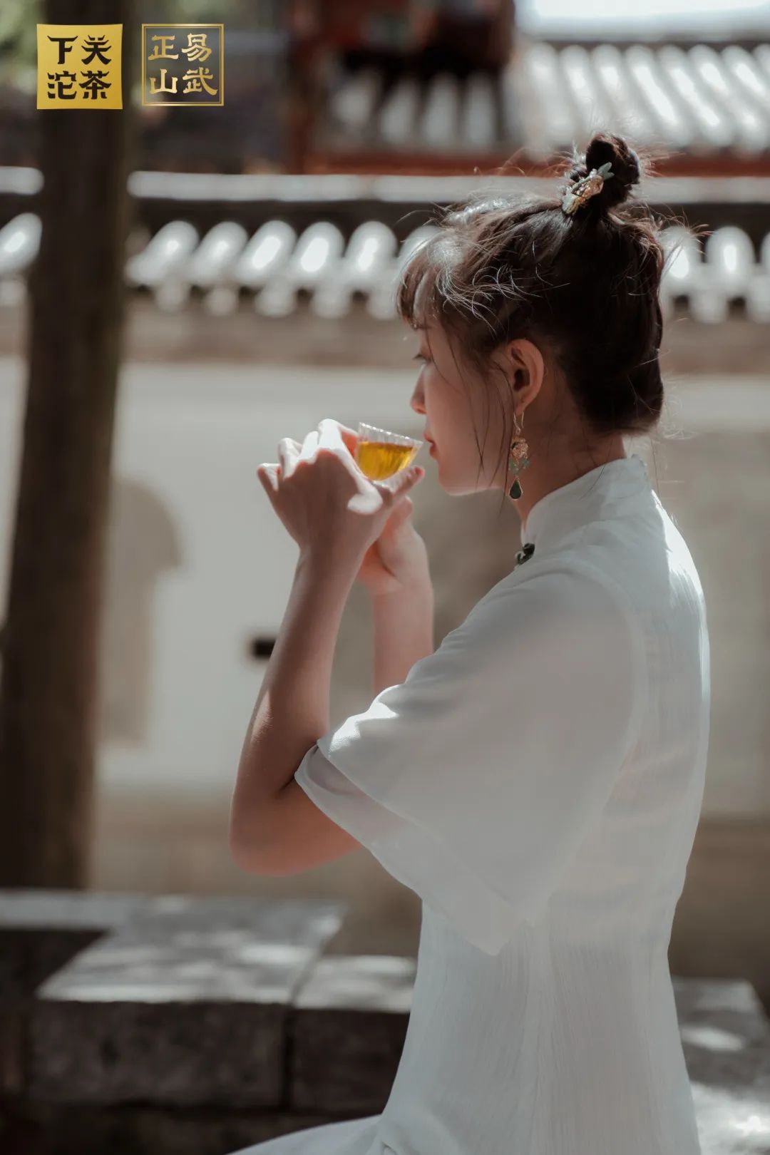 易武正山与易武乔木有何区别,正山小种茶农世家