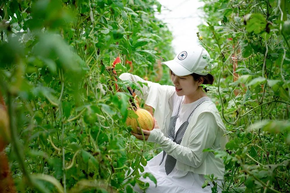 非凡十年高质量发展迈出坚定步伐,非凡十年中国成就