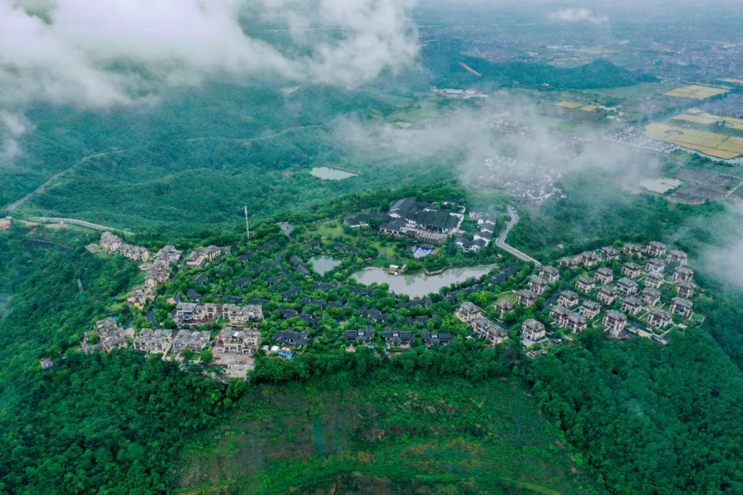 陈妙林直播,开元酒店集团董事长陈妙林