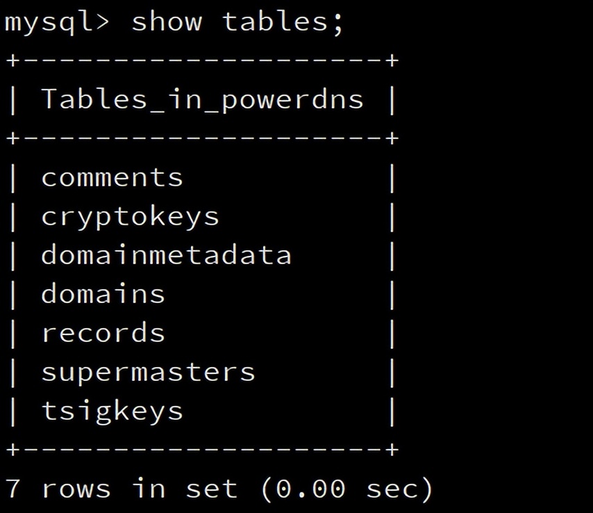 dns初学者教程免费,dns项目详细讲解