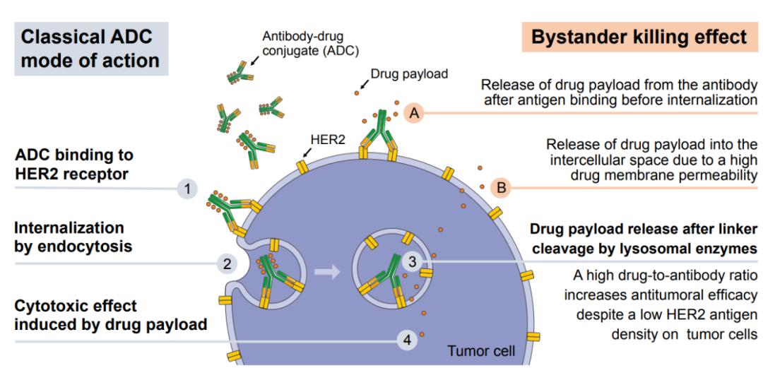 胃癌二线化疗药物有哪些,胃癌晚期能吃的二线靶向药有哪些