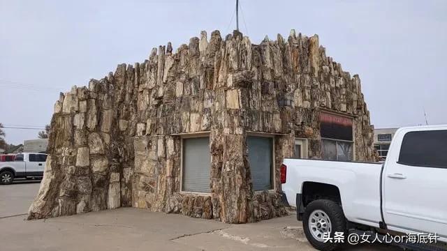 世界上最大的药丸的图片,以色列超模yaelshelbia多大