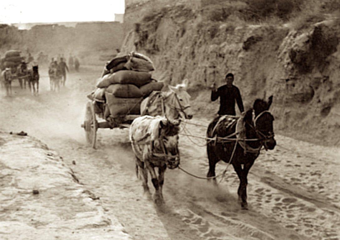 农村搞笑卖猪视频,80年代农民卖猪图片图文