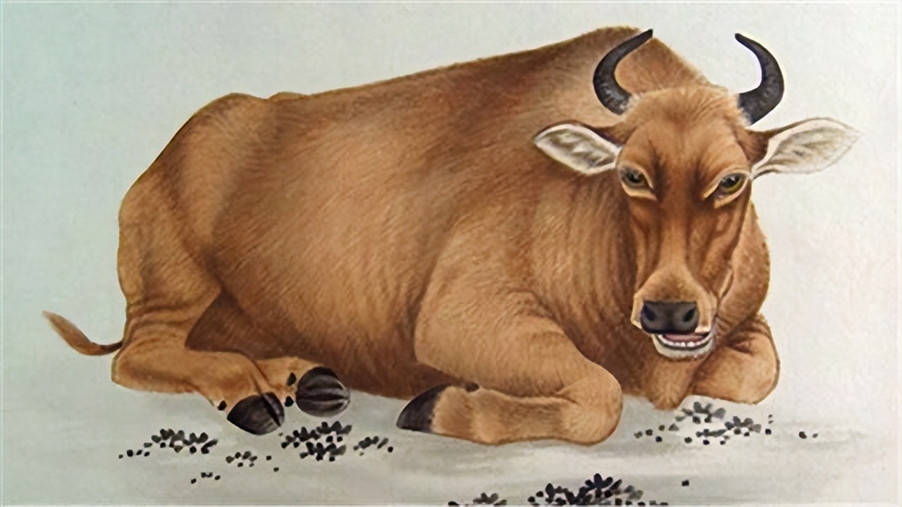 八字最佳婚配属相表,八字最佳婚配属相