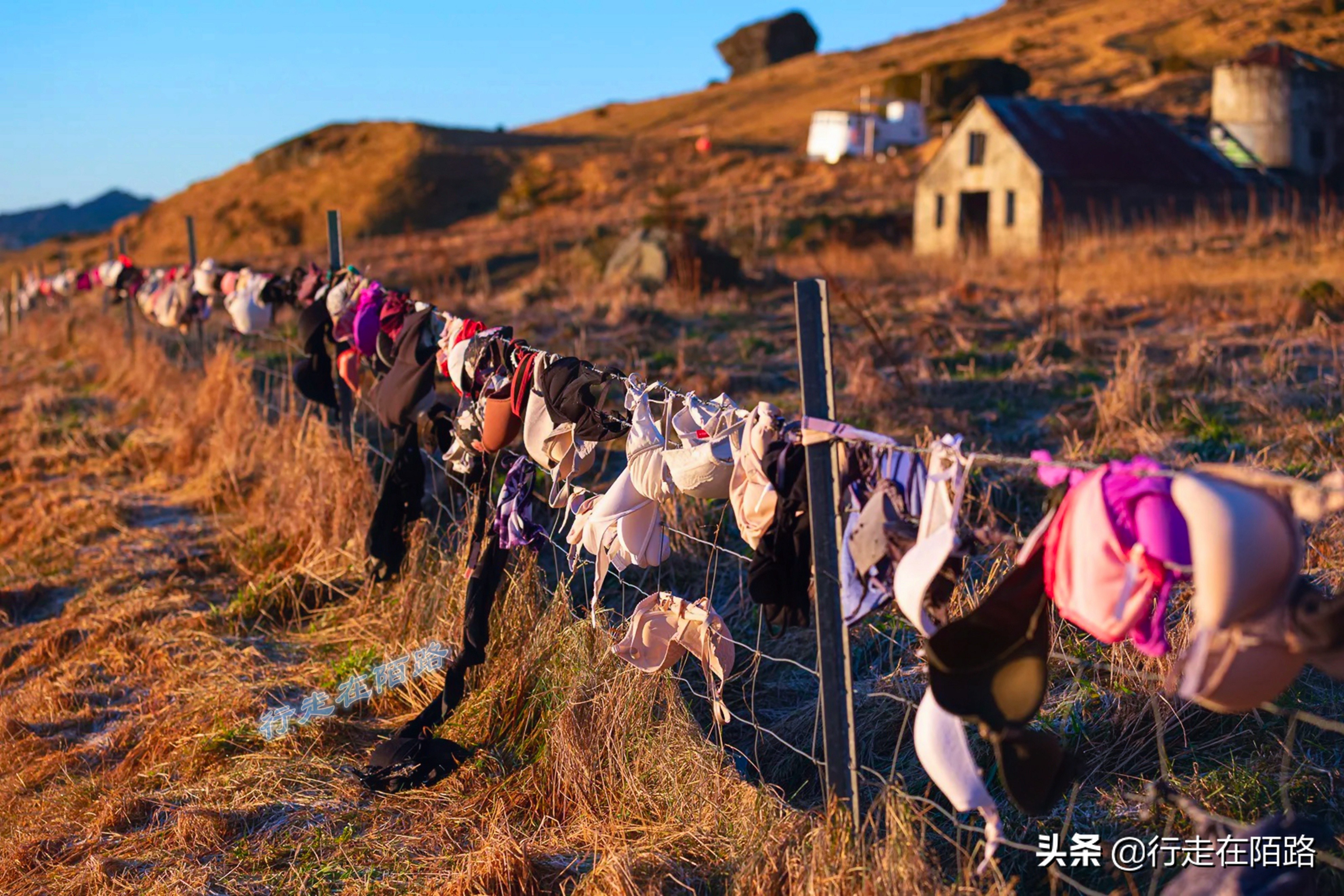 冰岛的抑郁症,冰岛的抑郁症率