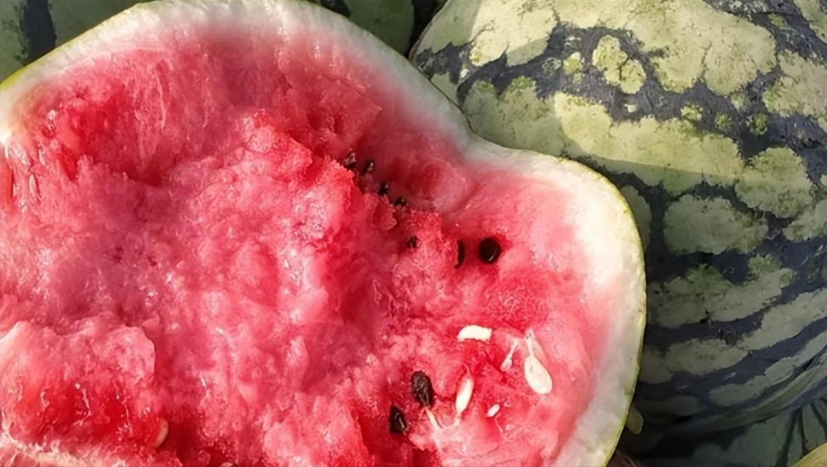 今年夏天最好吃的西瓜,10种最好吃的西瓜