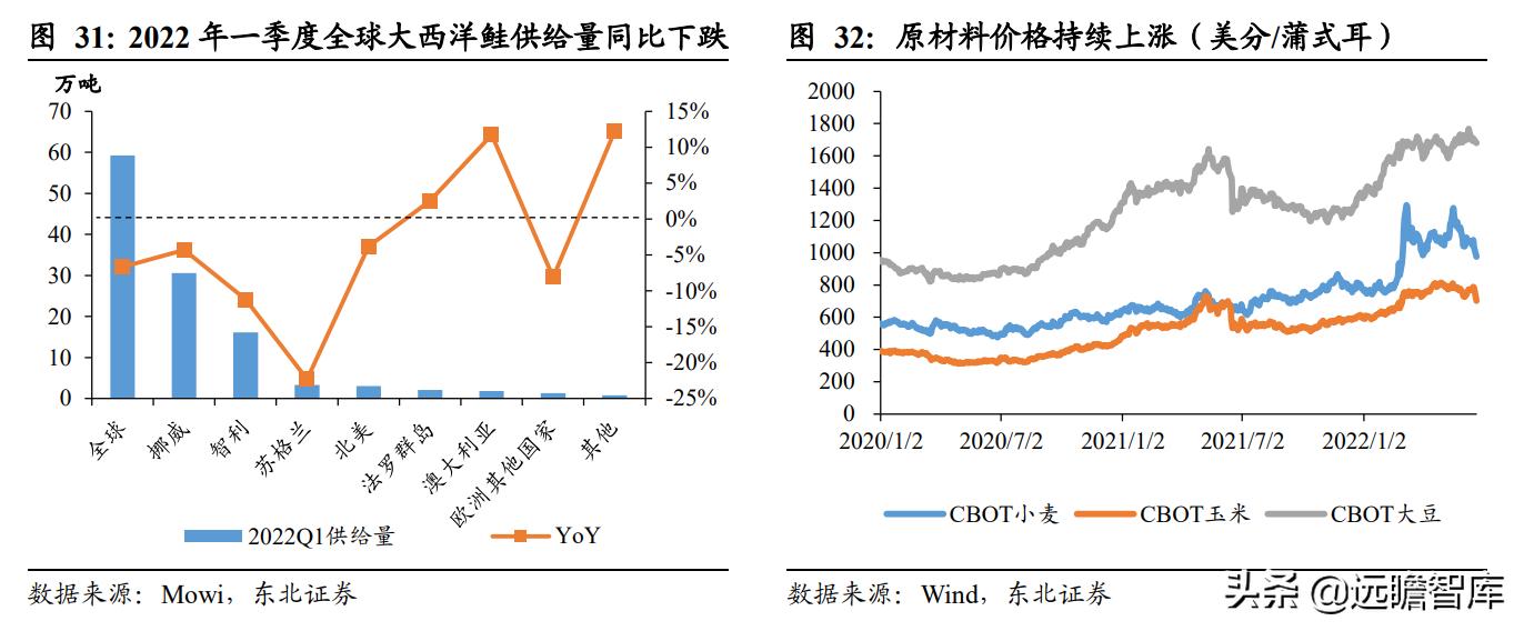 佳沃智利新三文鱼工厂,佳沃食品智利三文鱼