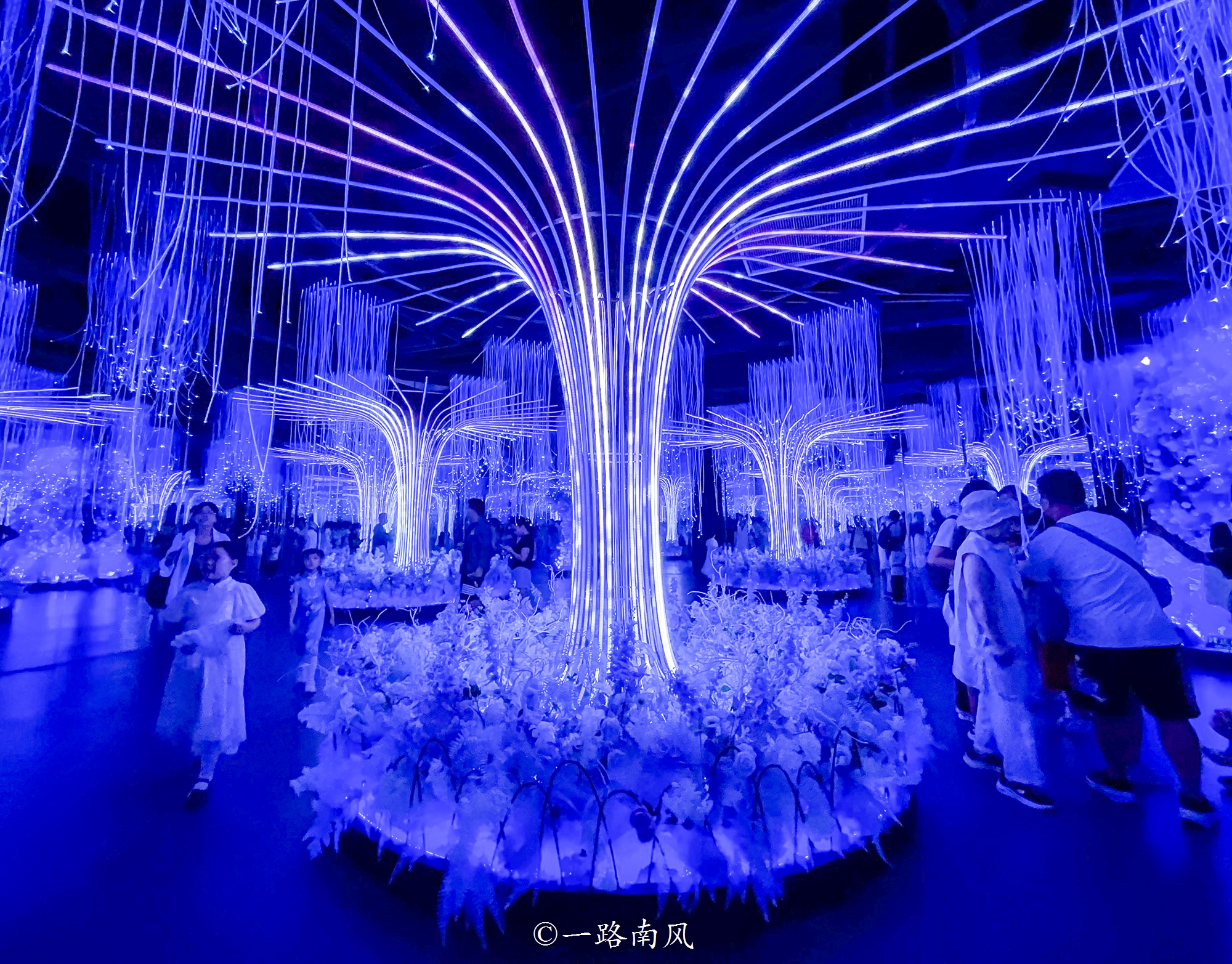 上海市区一日游最佳路线推荐,上海附近城市一日游攻略