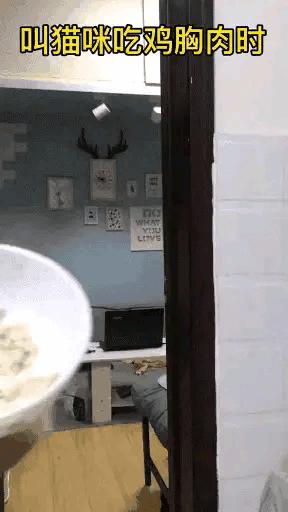 今日动图：前不久交了一位女朋友，昨天晚上约会时忍不住吻了她