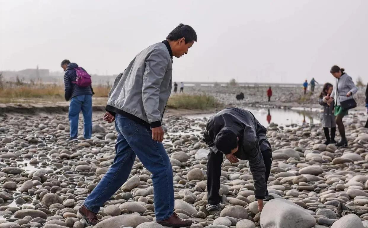 捡石头渐渐成为一种职业，挣钱吗？不少人发了