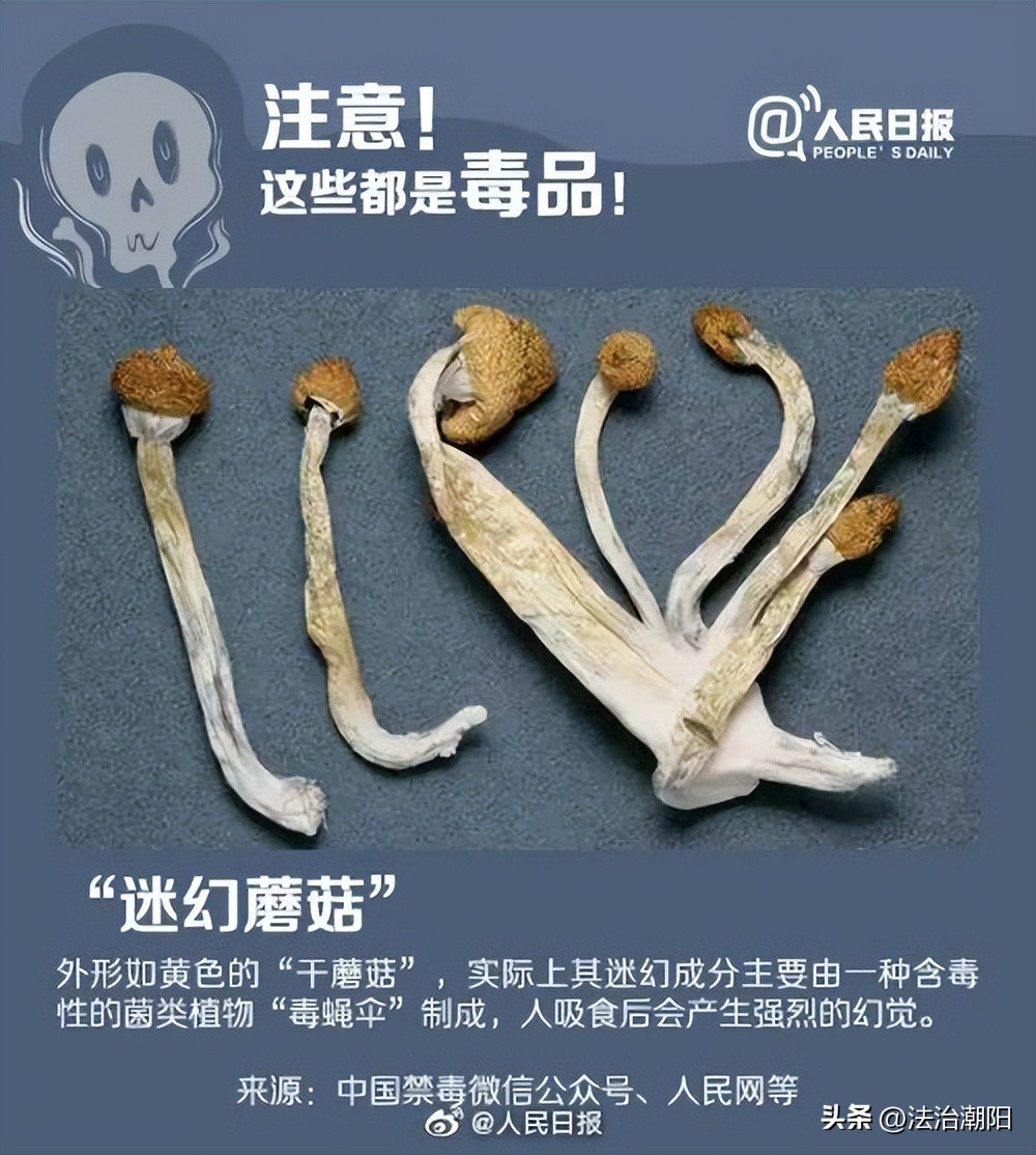 “昏睡液”听说过吗？