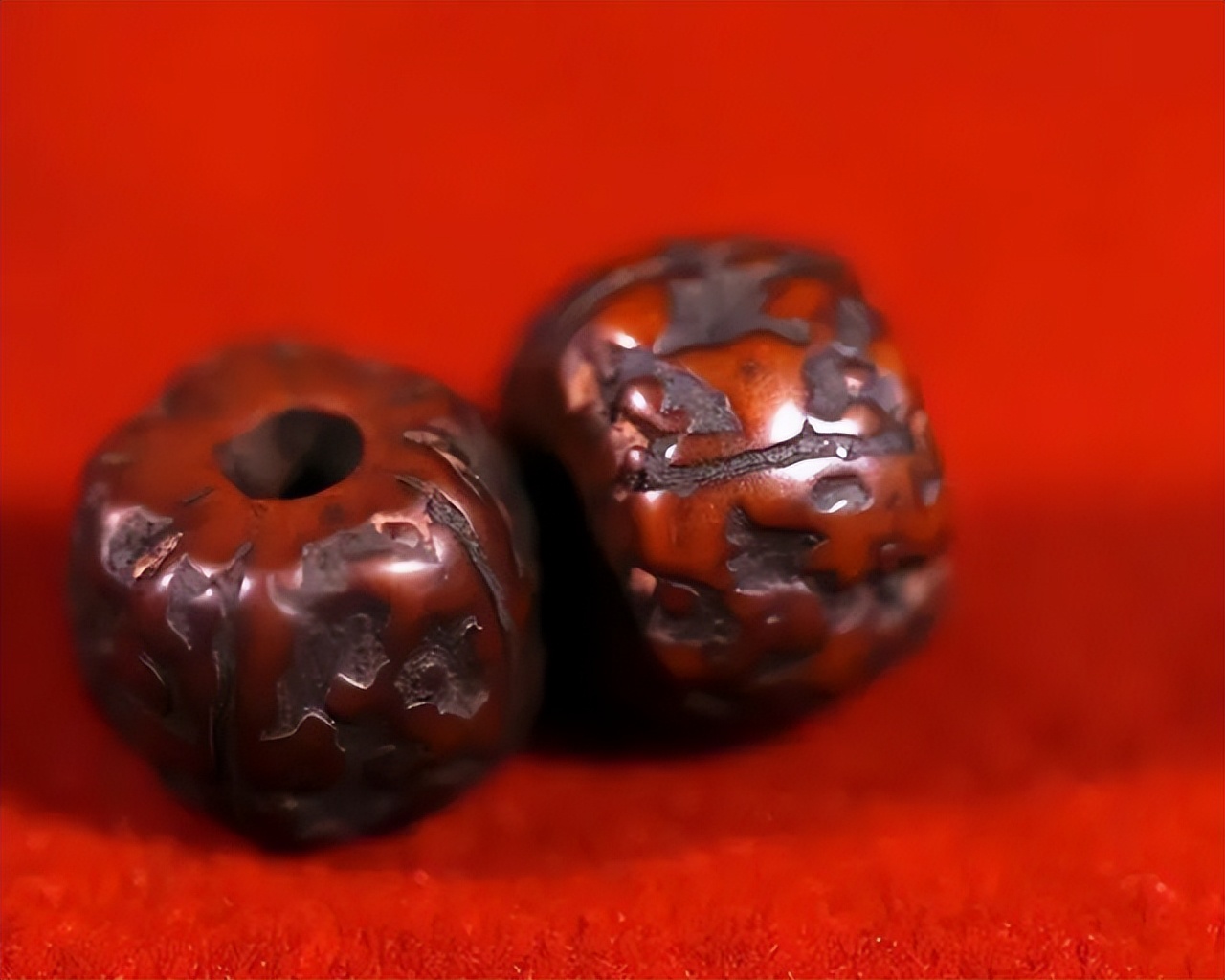 金刚菩提要盘几年才能变成深红色,金刚菩提色差能变一致吗