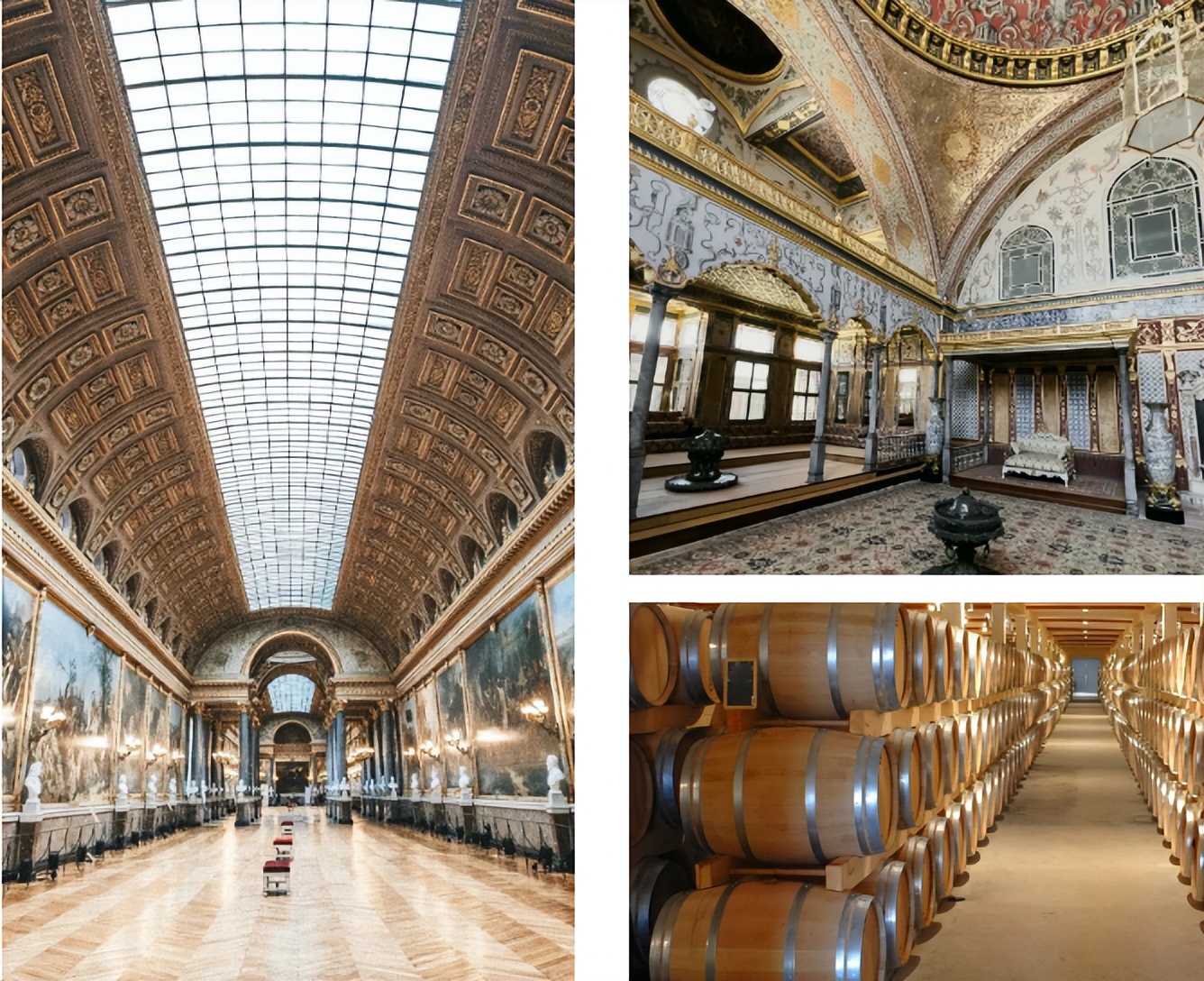 橡木为什么那么厉害,橡木特点